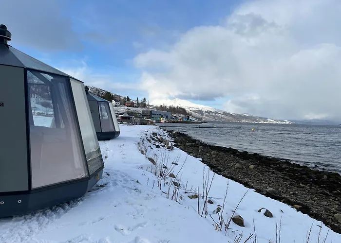 Elvegard Fjordcamp