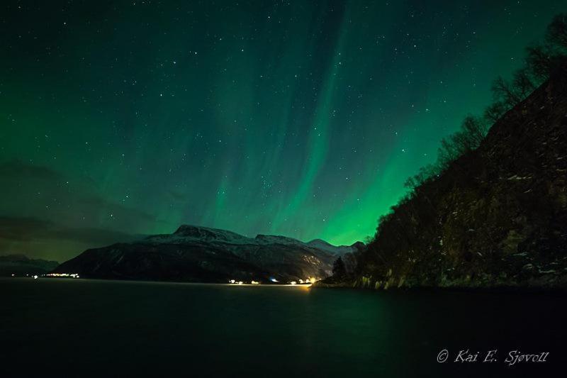 Camping Elvegard Fjordcamp *